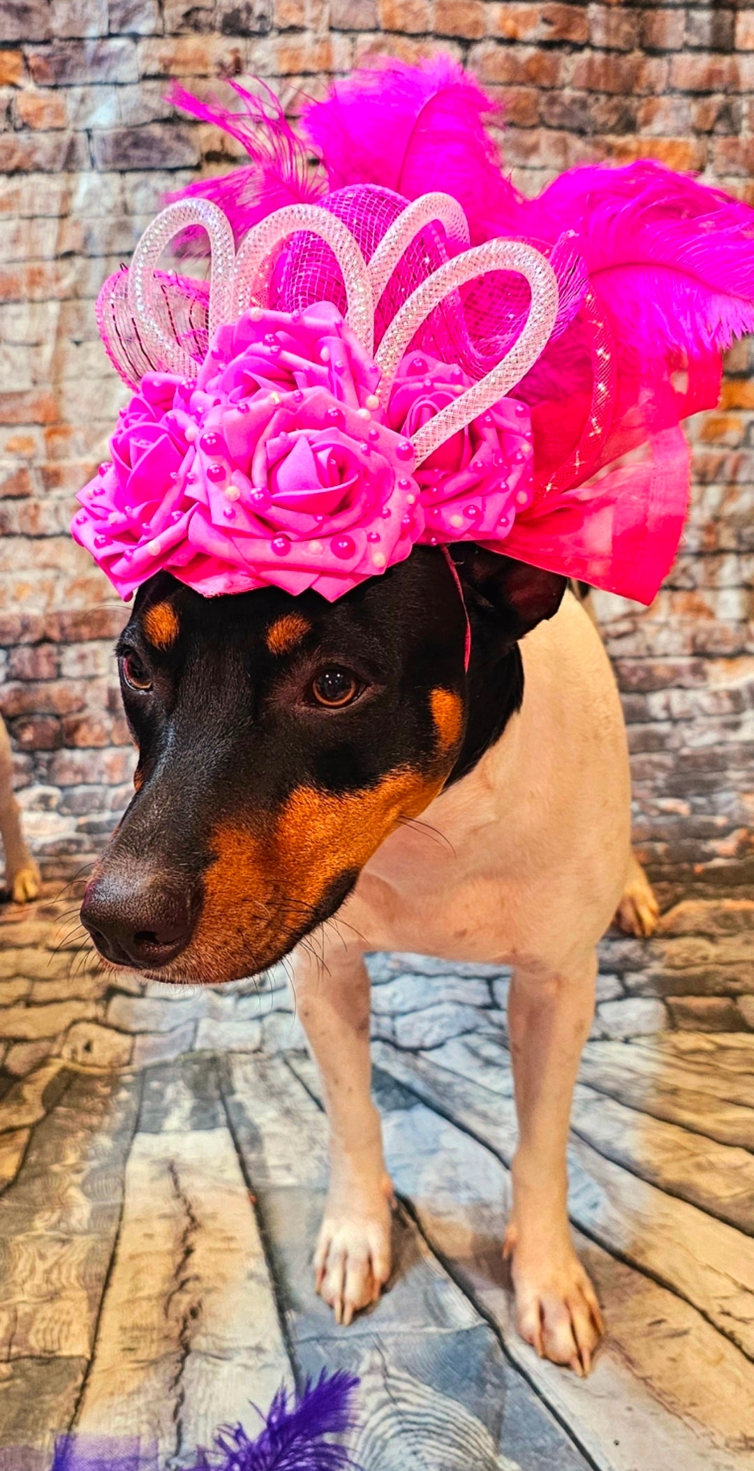 Kentucky Derby flower pet fasinator hat, Kentucky derby Pet Hat, Dog fasinator
