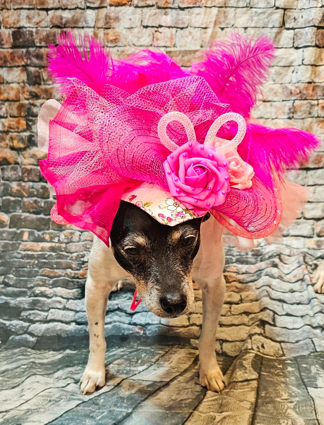 Kentucky Derby flower pet fasinator hat, Kentucky derby Pet Hat, Dog fasinator