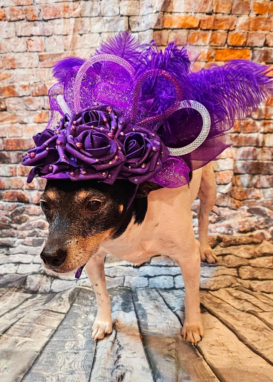 Kentucky Derby flower pet fasinator hat, Kentucky derby Pet Hat, Dog fasinator