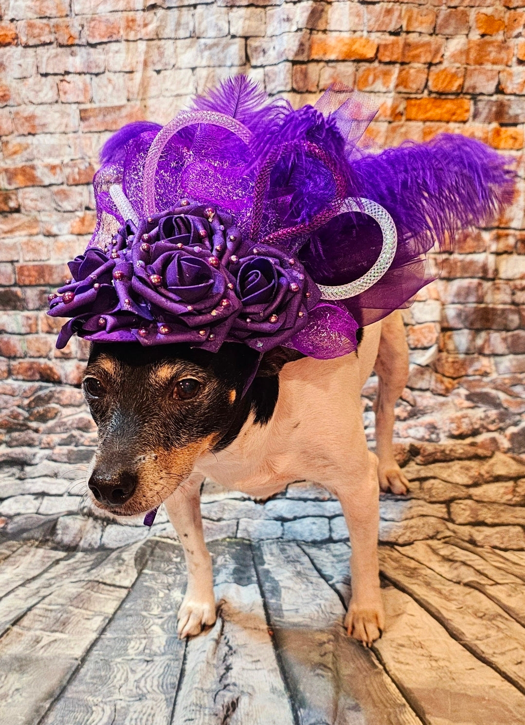 Kentucky Derby flower pet fasinator hat, Kentucky derby Pet Hat, Dog fasinator