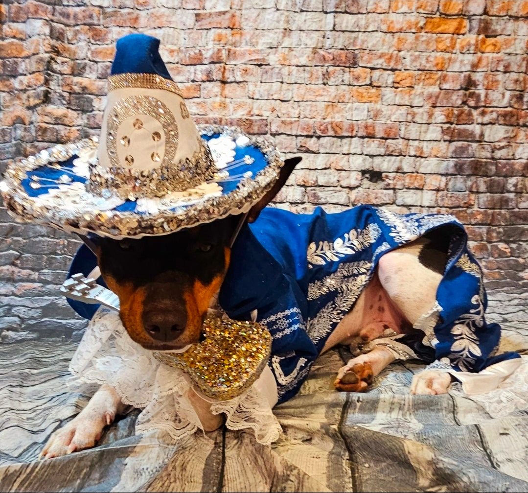 Mariachi Pet costume, Mariachi dog costume, Charro pet costume, Cinco De Mayo Pet Costume