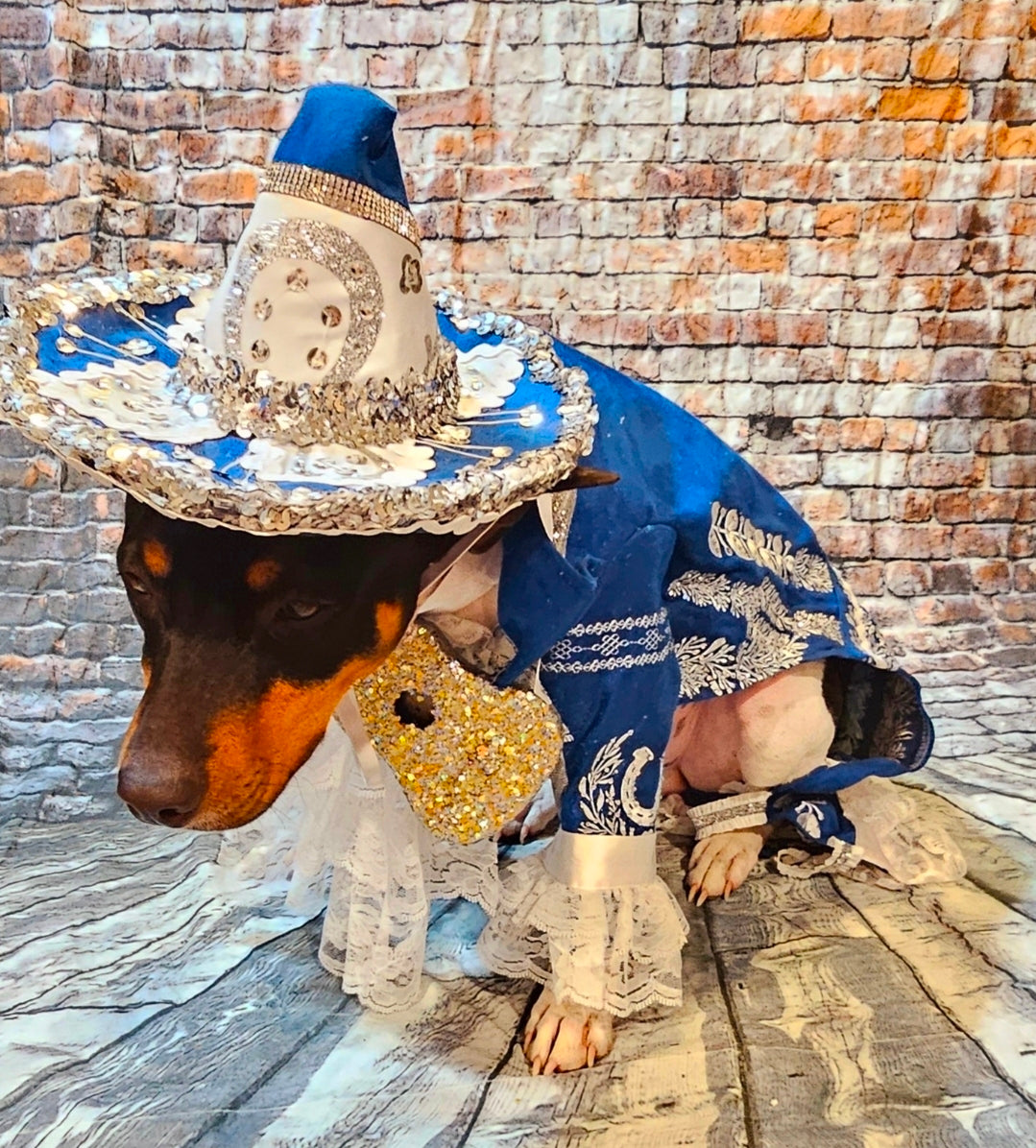 Mariachi Pet costume, Mariachi dog costume, Charro pet costume, Cinco De Mayo Pet Costume