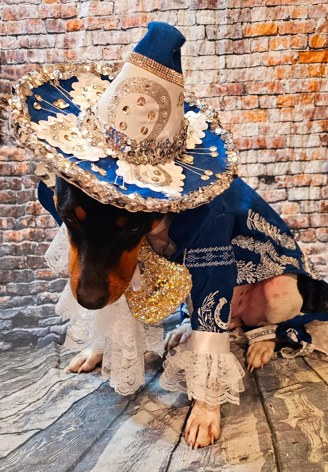 Mariachi Pet costume, Mariachi dog costume, Charro pet costume, Cinco De Mayo Pet Costume