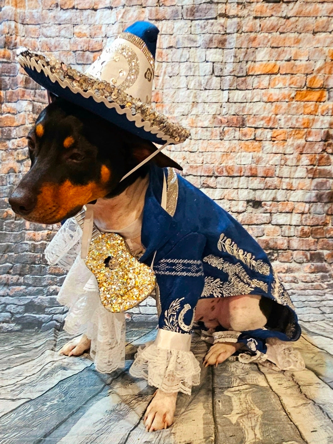 Mariachi Pet costume, Mariachi dog costume, Charro pet costume, Cinco De Mayo Pet Costume