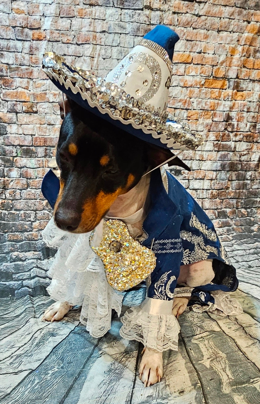 Mariachi Pet costume, Mariachi dog costume, Charro pet costume, Cinco De Mayo Pet Costume