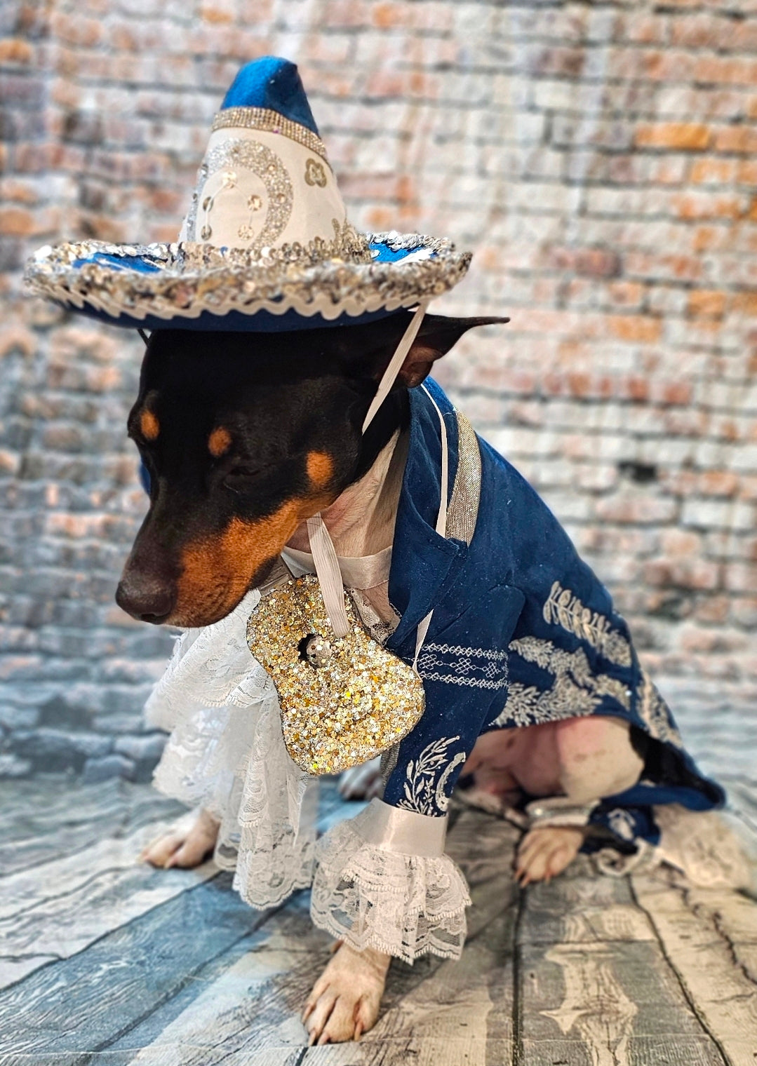 Mariachi Pet costume, Mariachi dog costume, Charro pet costume, Cinco De Mayo Pet Costume