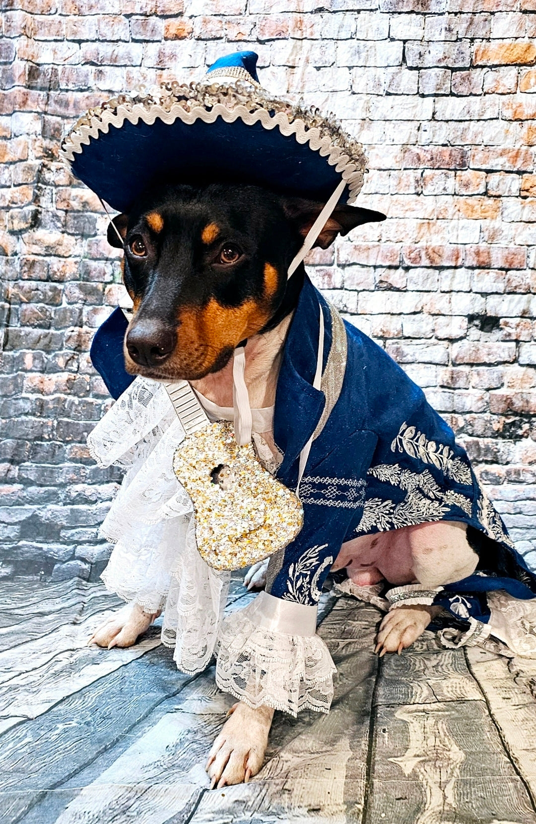 Mariachi Pet costume, Mariachi dog costume, Charro pet costume, Cinco De Mayo Pet Costume