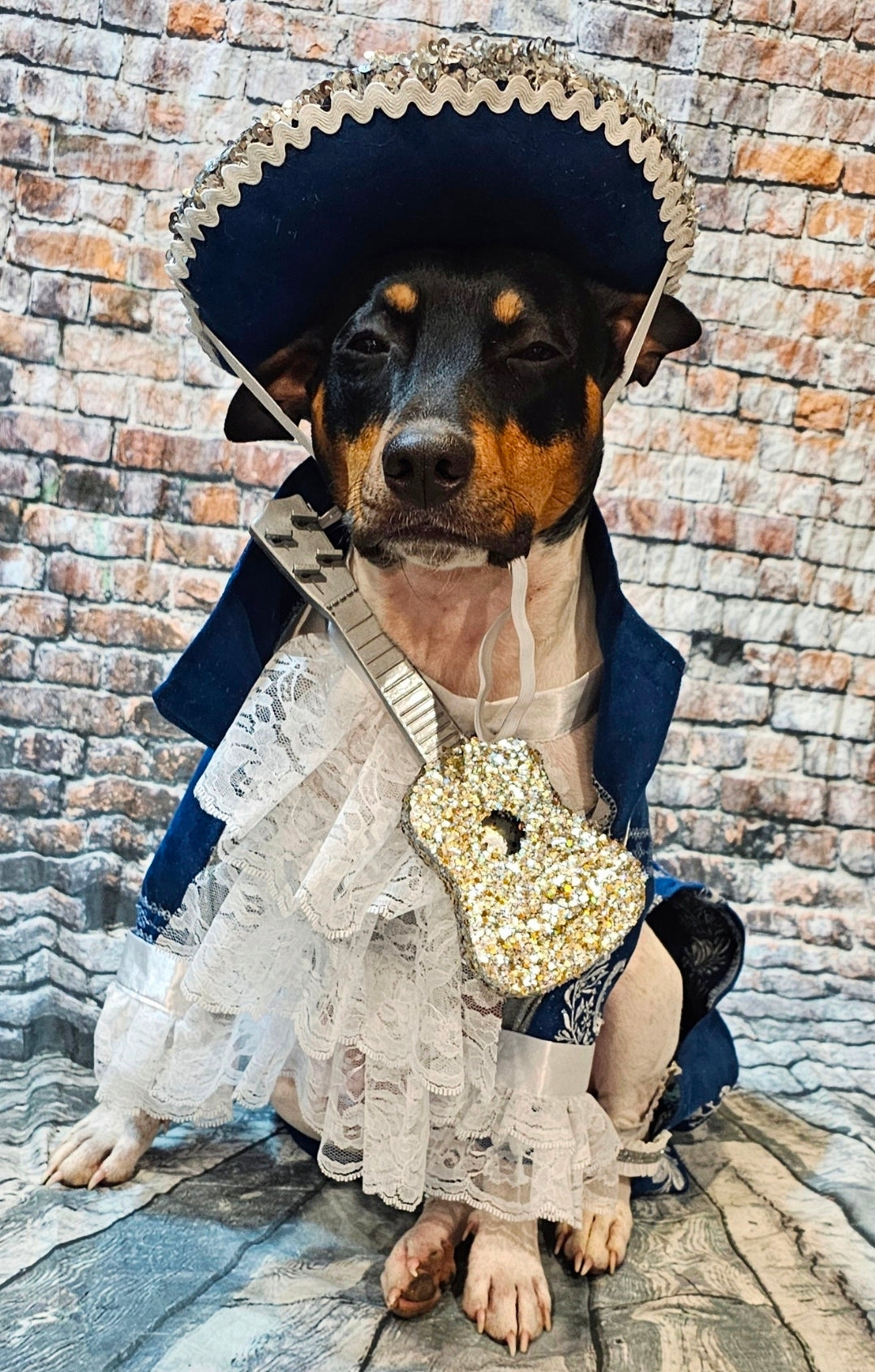 Mariachi Pet costume, Mariachi dog costume, Charro pet costume, Cinco De Mayo Pet Costume