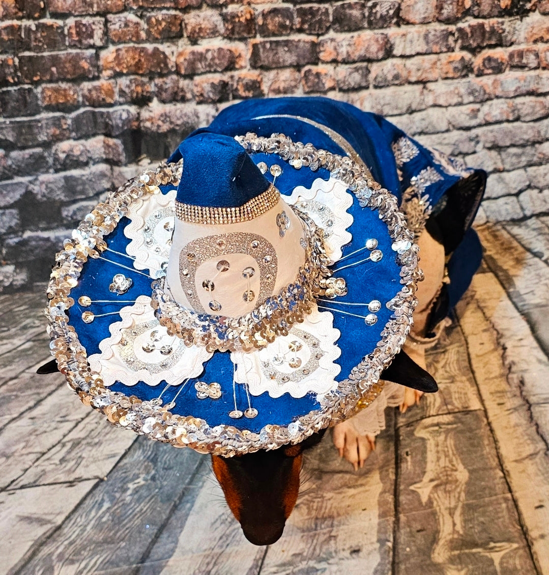 Mariachi Pet costume, Mariachi dog costume, Charro pet costume, Cinco De Mayo Pet Costume