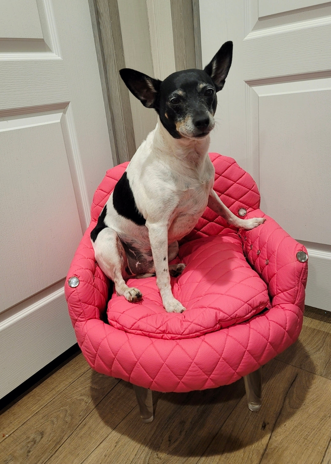 Luxury Pet Chair, Office dog chair, office cat chair, luxury pet bed