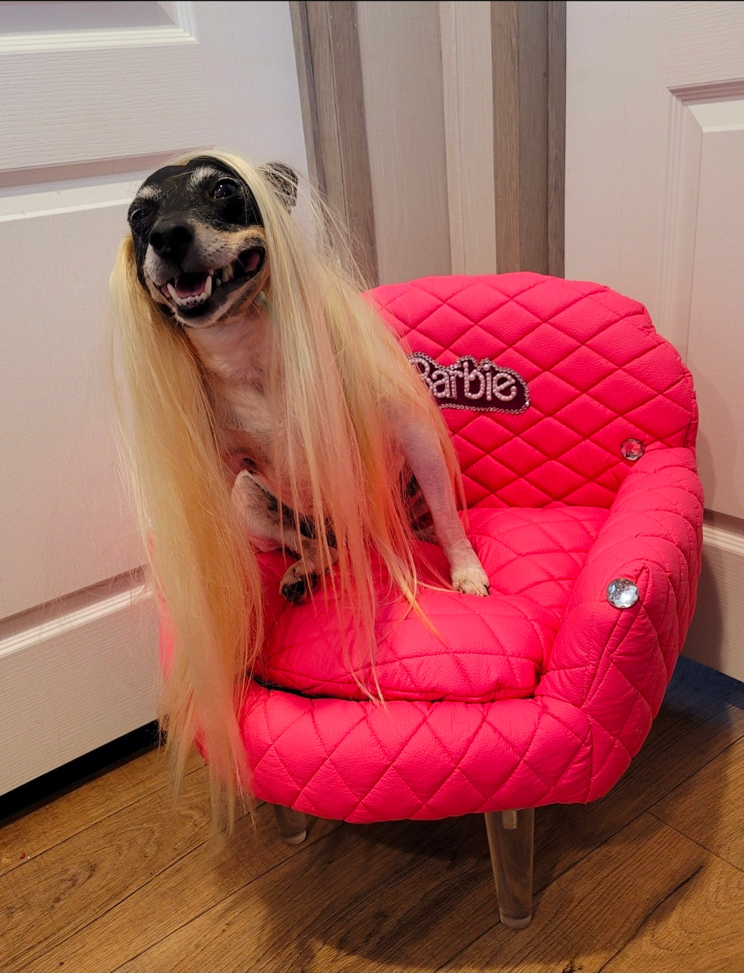 Barbie contemporary pet chair, luxury Barbie pet bed, arclic leg pet bed