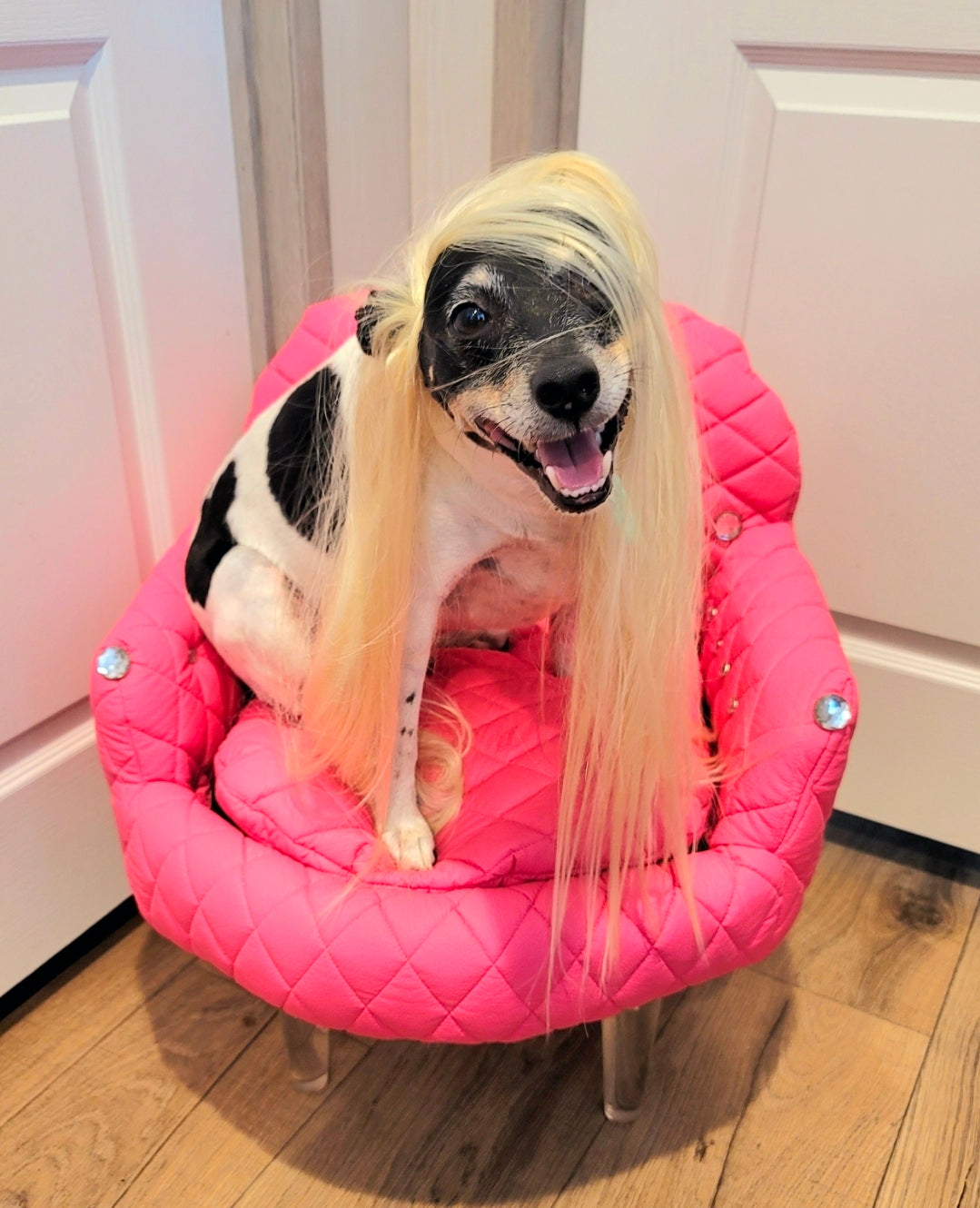 Barbie contemporary pet chair, luxury Barbie pet bed, arclic leg pet bed