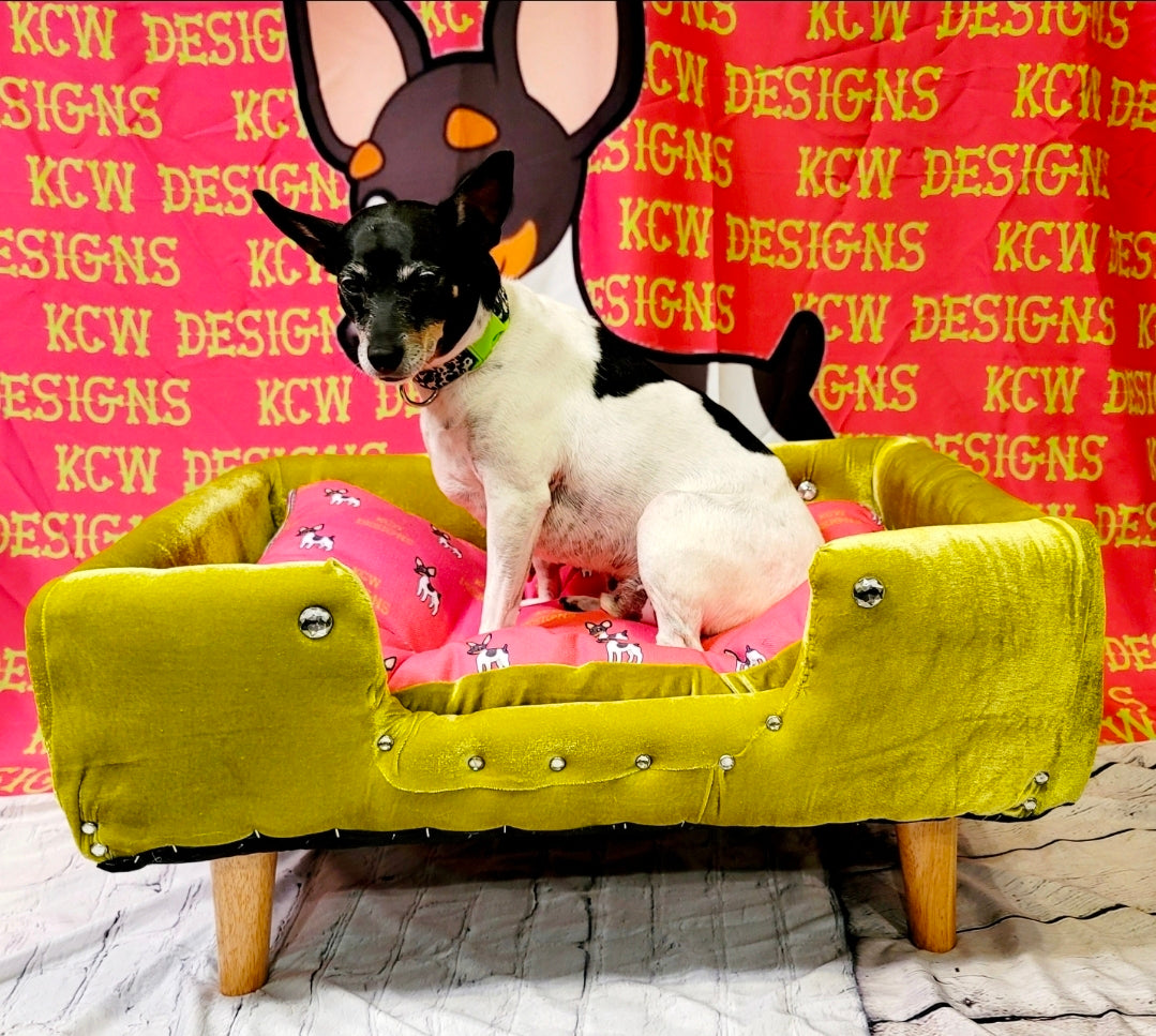 Velvet Contemporary Pet Bed, luxury pet bed with legs, upholstered pet bed