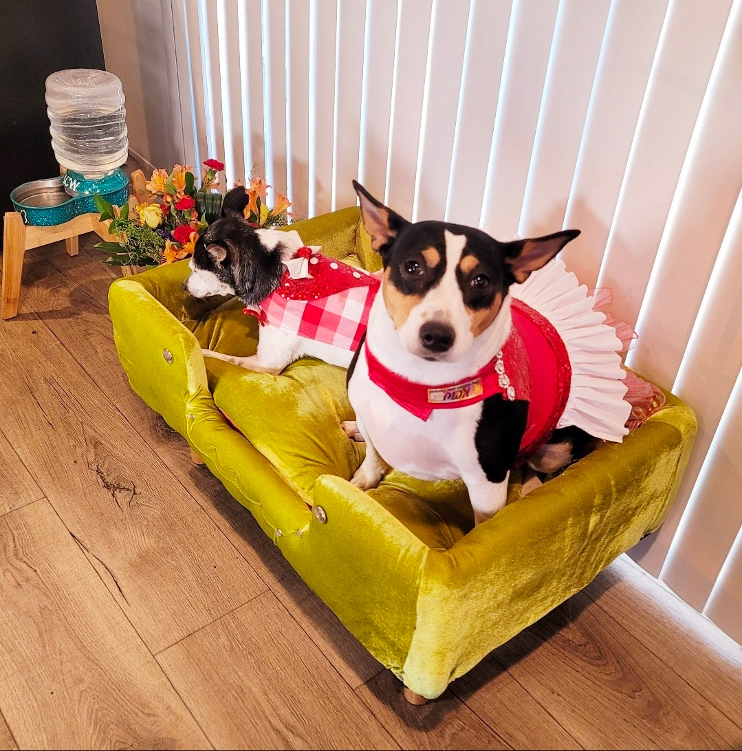 Velvet Contemporary Pet Bed, luxury pet bed with legs, upholstered pet bed