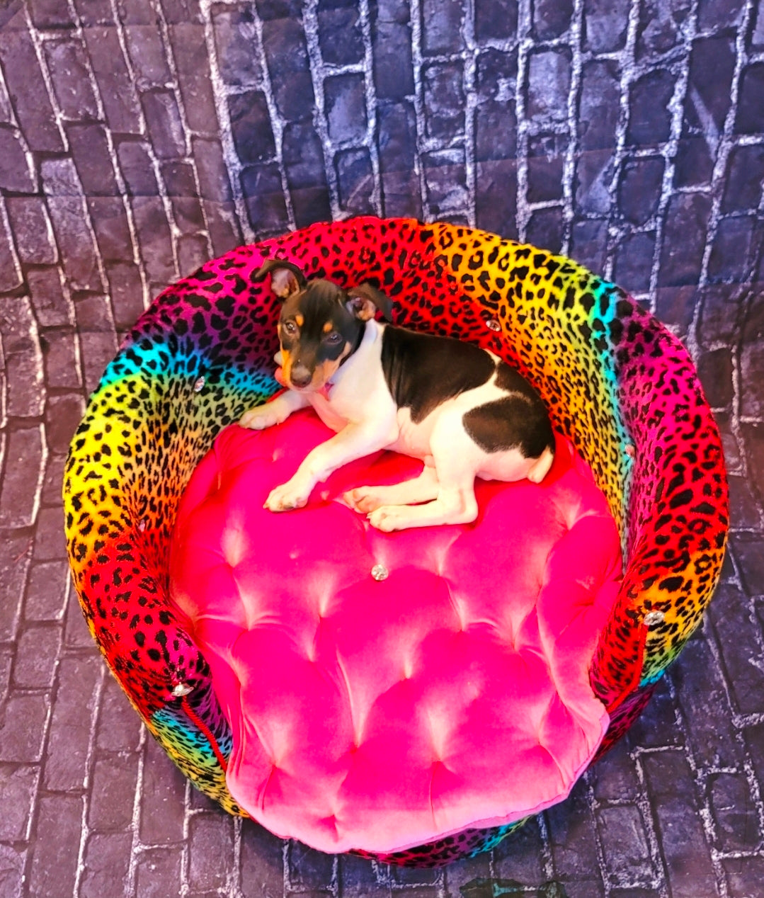 Rainbow Leopard round pet bed, High back round dog bed, luxury leopard pet bed