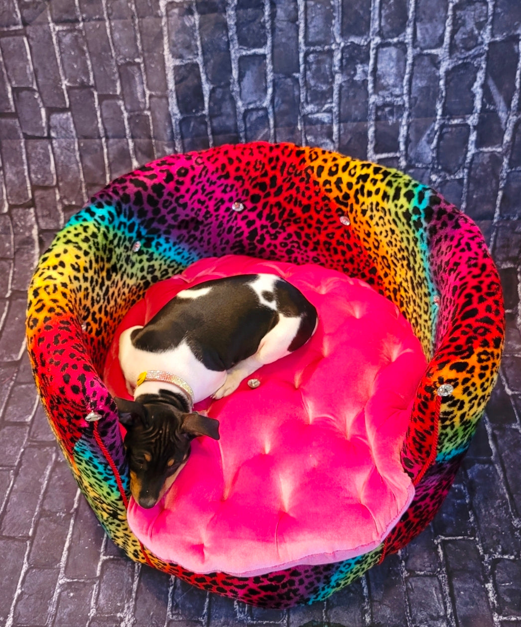 Rainbow Leopard round pet bed, High back round dog bed, luxury leopard pet bed