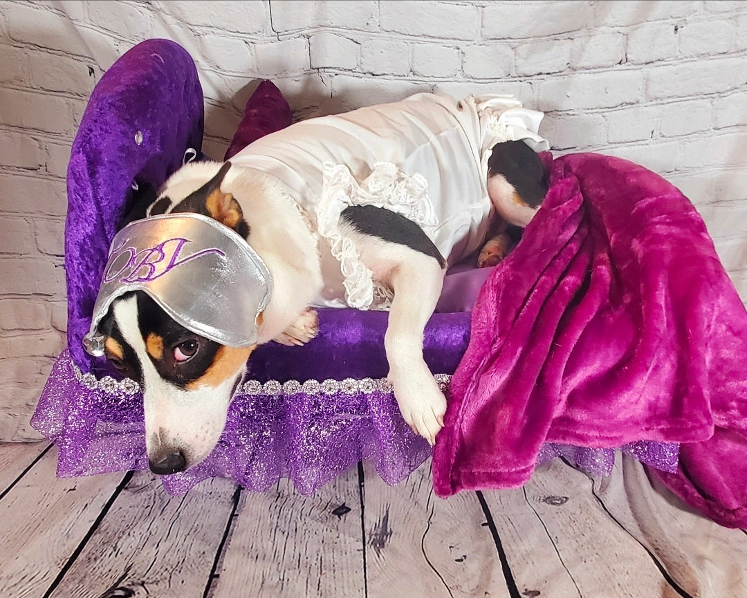 Custom Pet Bassinet Beds, Puppy Bassinet Beds, luxury pet bassinet bed
