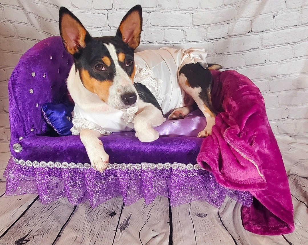 Custom Pet Bassinet Beds, Puppy Bassinet Beds, luxury pet bassinet bed
