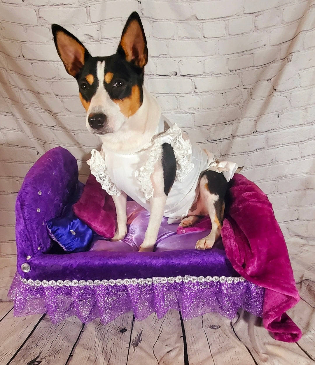 Custom Pet Bassinet Beds, Puppy Bassinet Beds, luxury pet bassinet bed