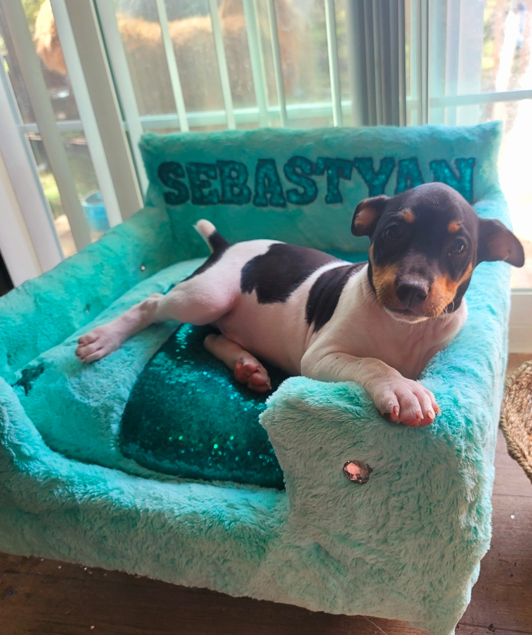 Luxury pet bed, personalized sequin pet bed, personalized pet furniture, acrylic pet bed