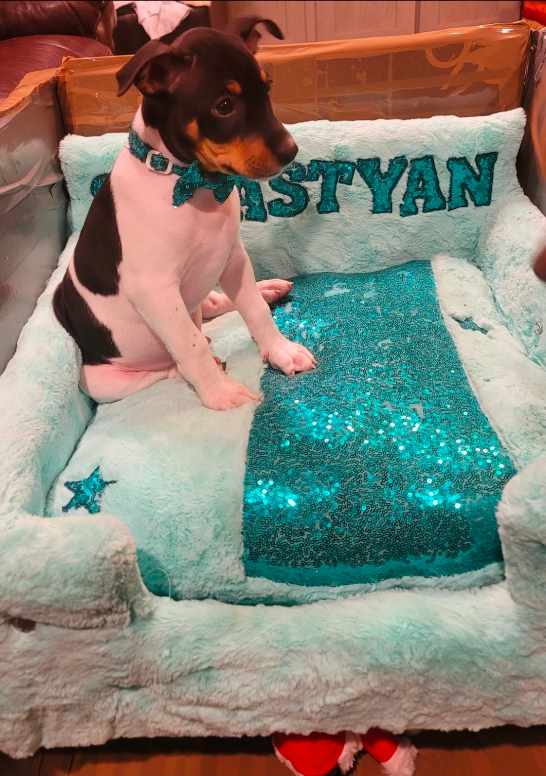 Luxury pet bed, personalized sequin pet bed, personalized pet furniture, acrylic pet bed