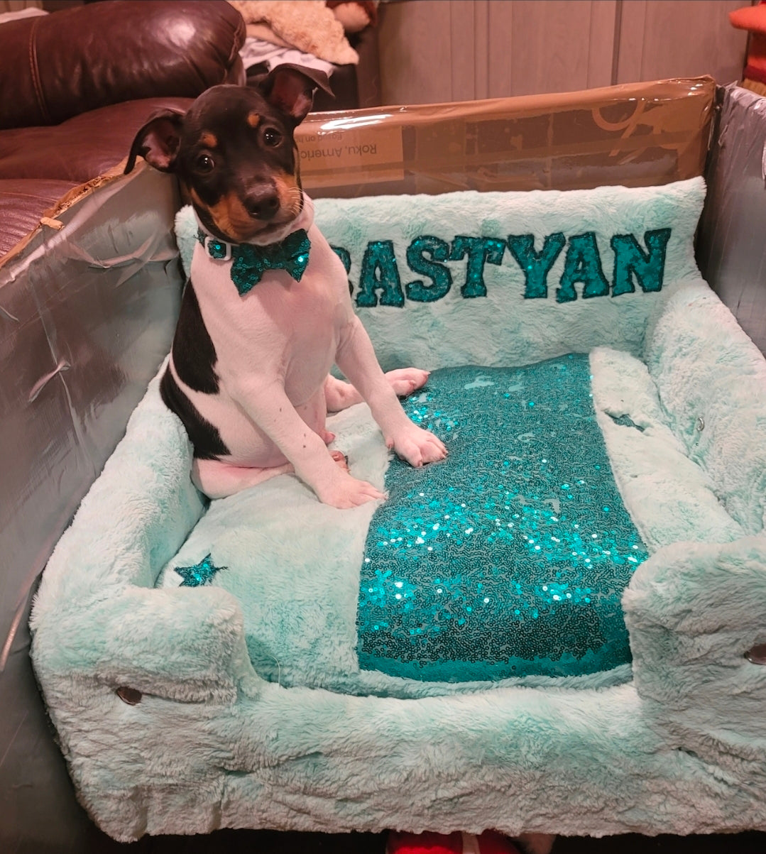 Luxury pet bed, personalized sequin pet bed, personalized pet furniture, acrylic pet bed