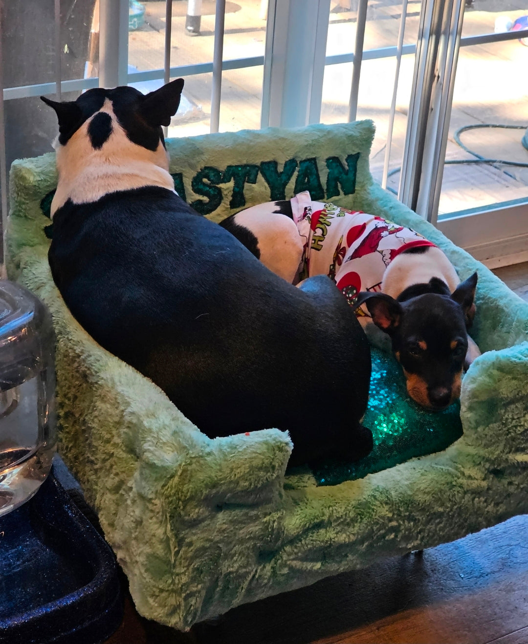Luxury pet bed, personalized sequin pet bed, personalized pet furniture, acrylic pet bed