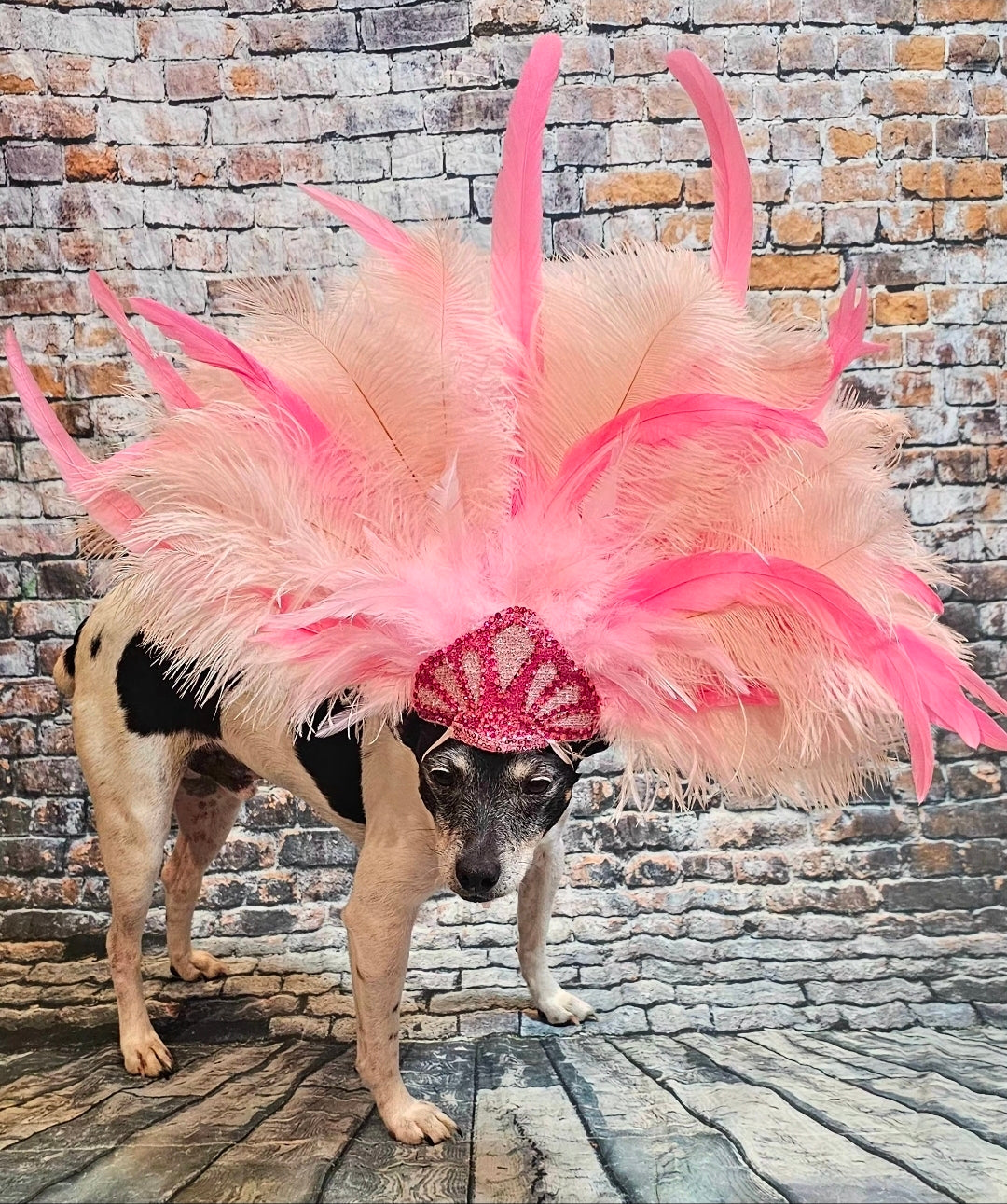 Pink Feather pet head piece, feather pet headdress, showgirl pet head dress