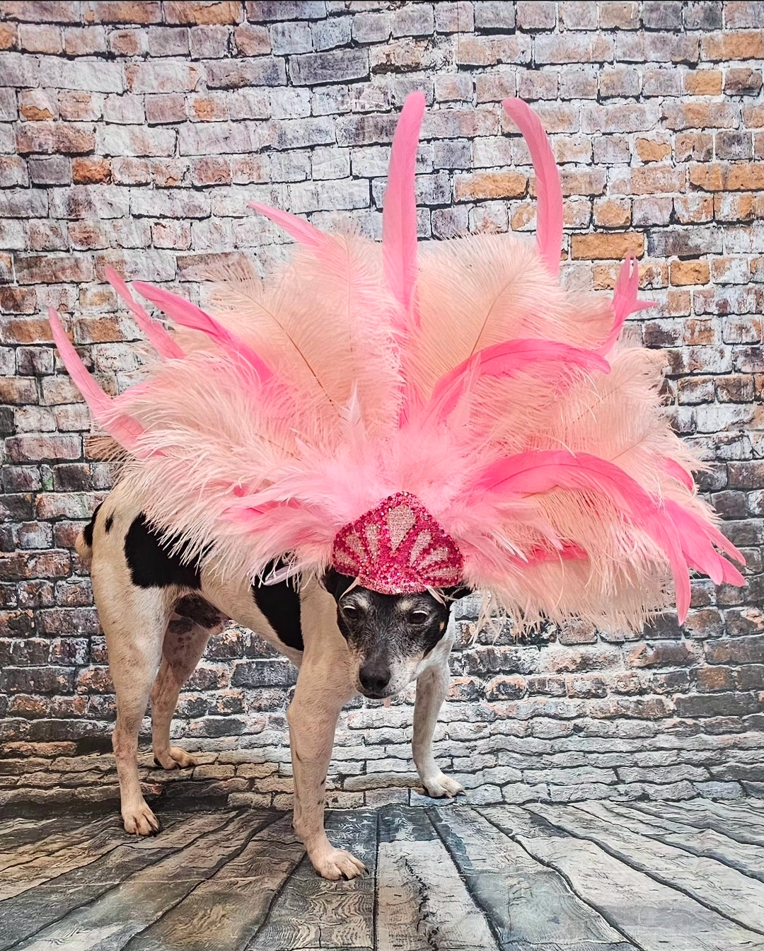 Pink Feather pet head piece, feather pet headdress, showgirl pet head dress