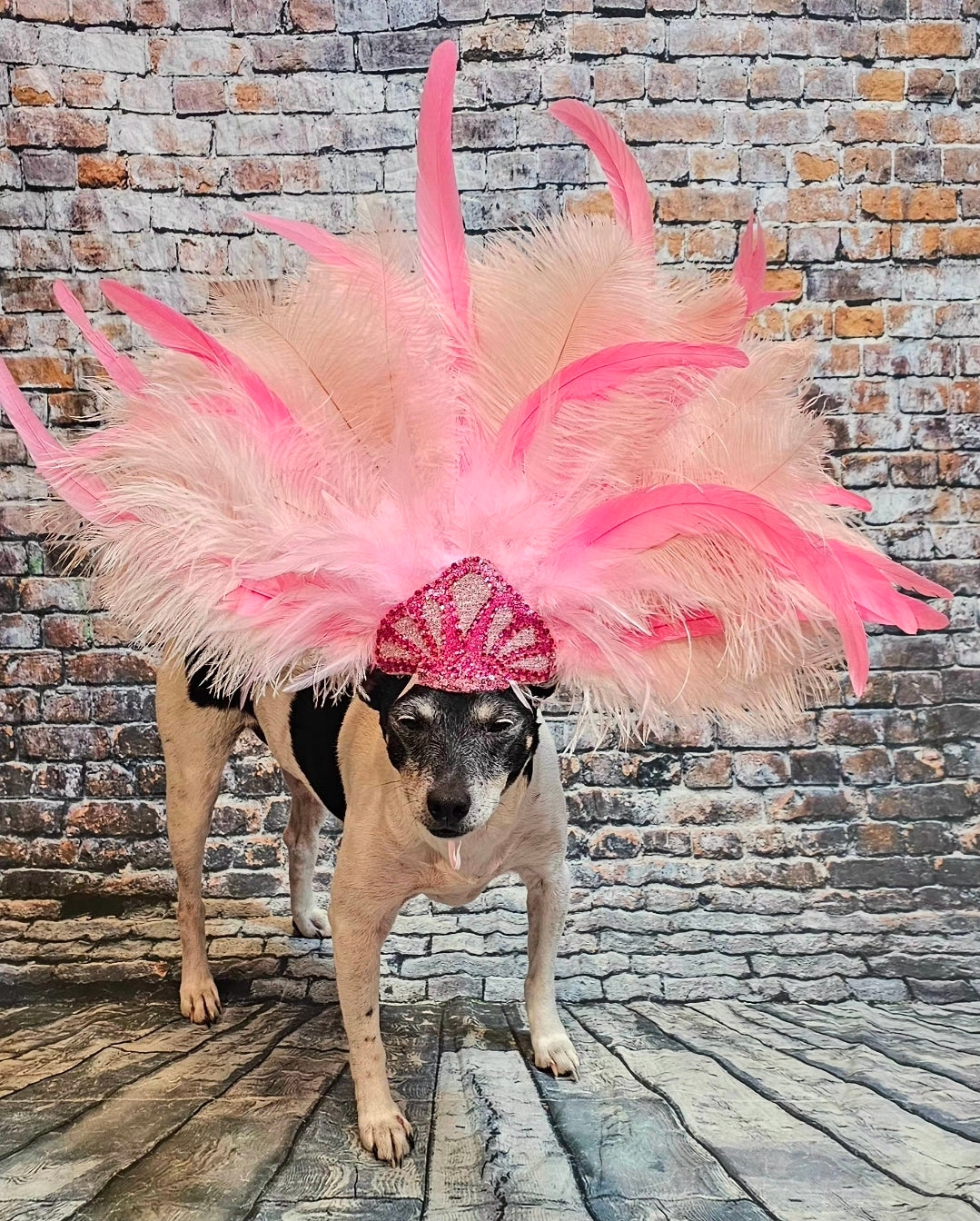 Pink Feather pet head piece, feather pet headdress, showgirl pet head dress