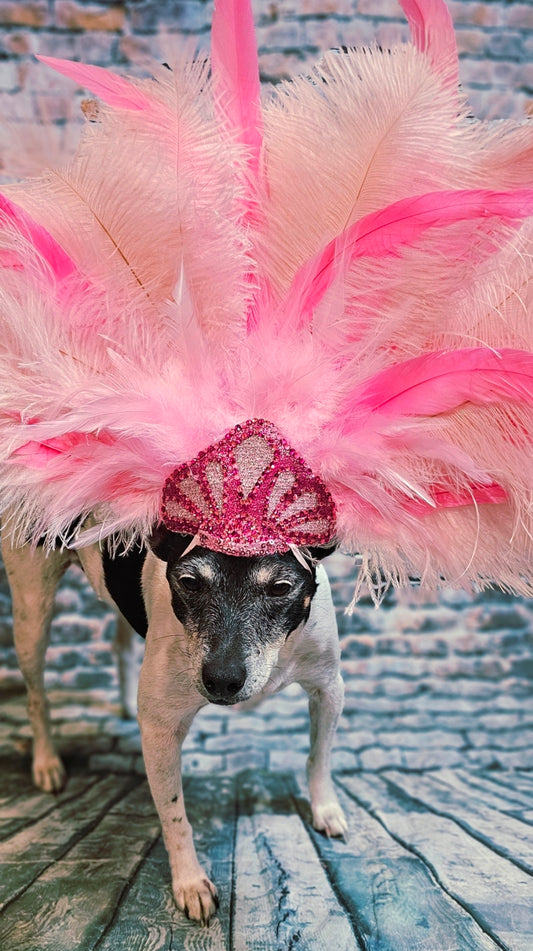 Pink Feather pet head piece, feather pet head dress, showgirl pet head dress