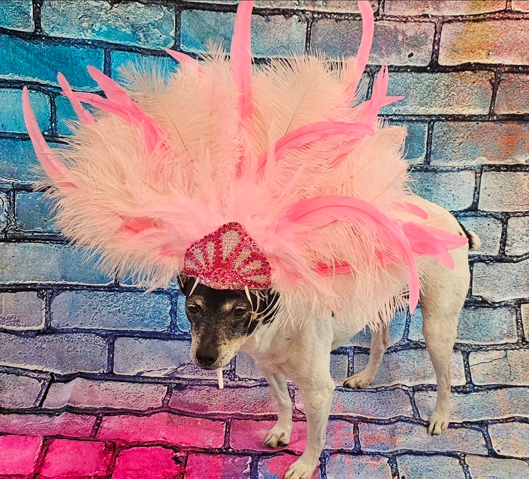 Pink Feather pet head piece, feather pet headdress, showgirl pet head dress