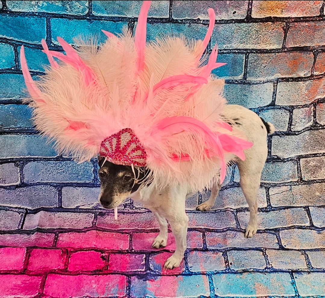Pink Feather pet head piece, feather pet headdress, showgirl pet head dress