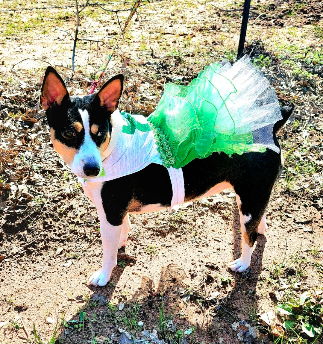 St Patrick's day Pet Dress, Patty's day pet dress, Irish pet dress, Luck tutu pet dress