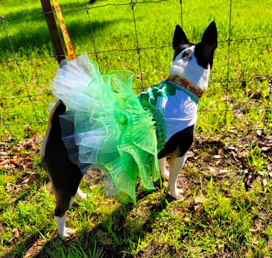St Patrick's day Pet Dress, Patty's day pet dress, Irish pet dress, Luck tutu pet dress