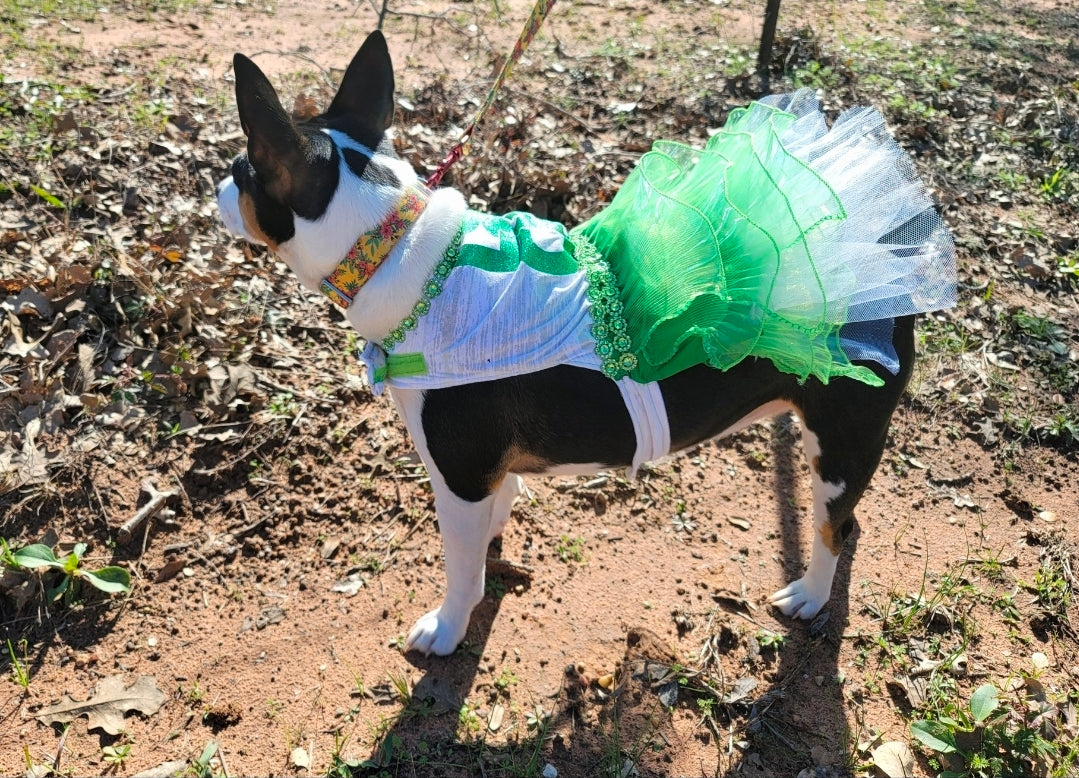 St Patrick's day Pet Dress, Patty's day pet dress, Irish pet dress, Luck tutu pet dress