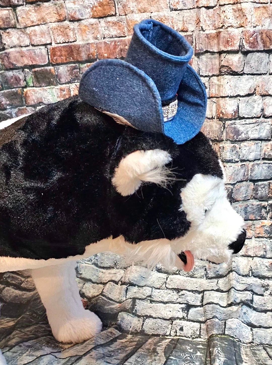 Rodeo Pet Dress, Western Pet dress, Aztec print pet dress