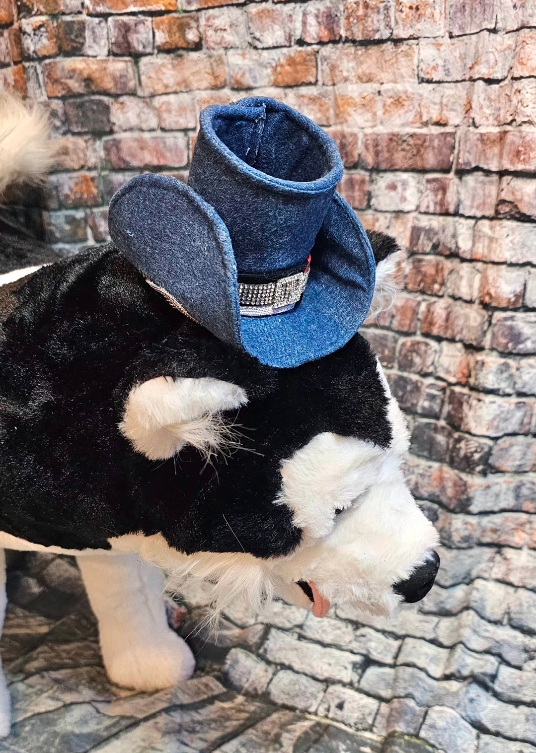 Rodeo Pet Dress, Western Pet dress, Aztec print pet dress