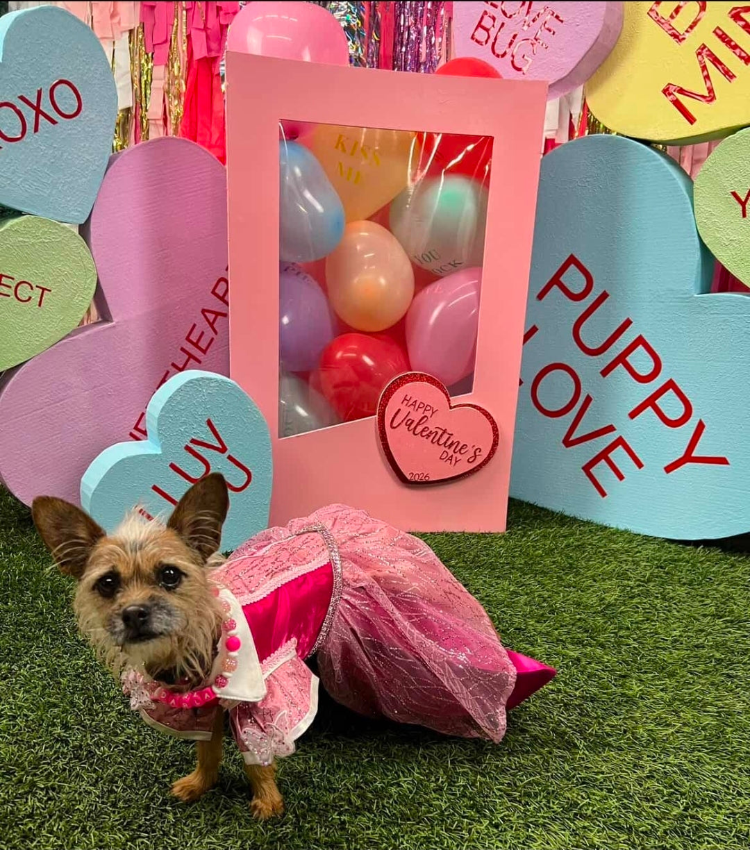 Princess Pet Dress, Princess pink pet dress, glitter pink dog dress