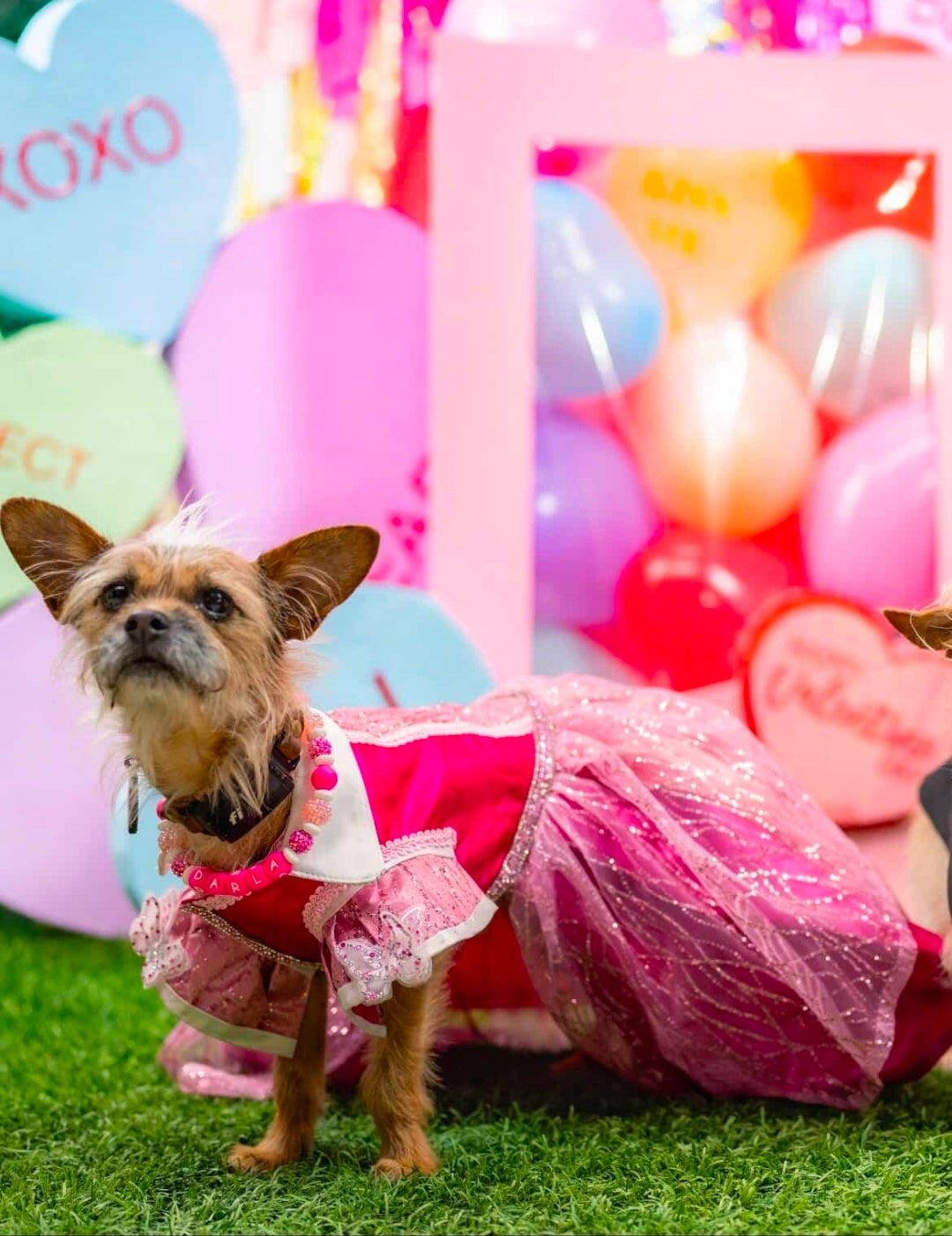 Princess Pet Dress, Princess pink pet dress, glitter pink dog dress