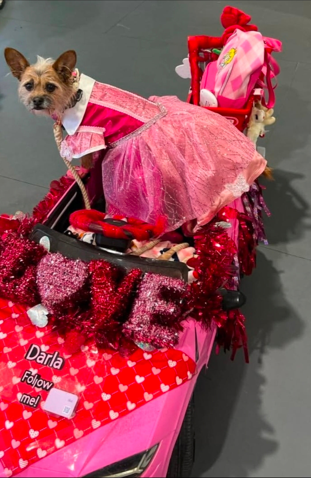 Princess Pet Dress, Princess pink pet dress, glitter pink dog dress