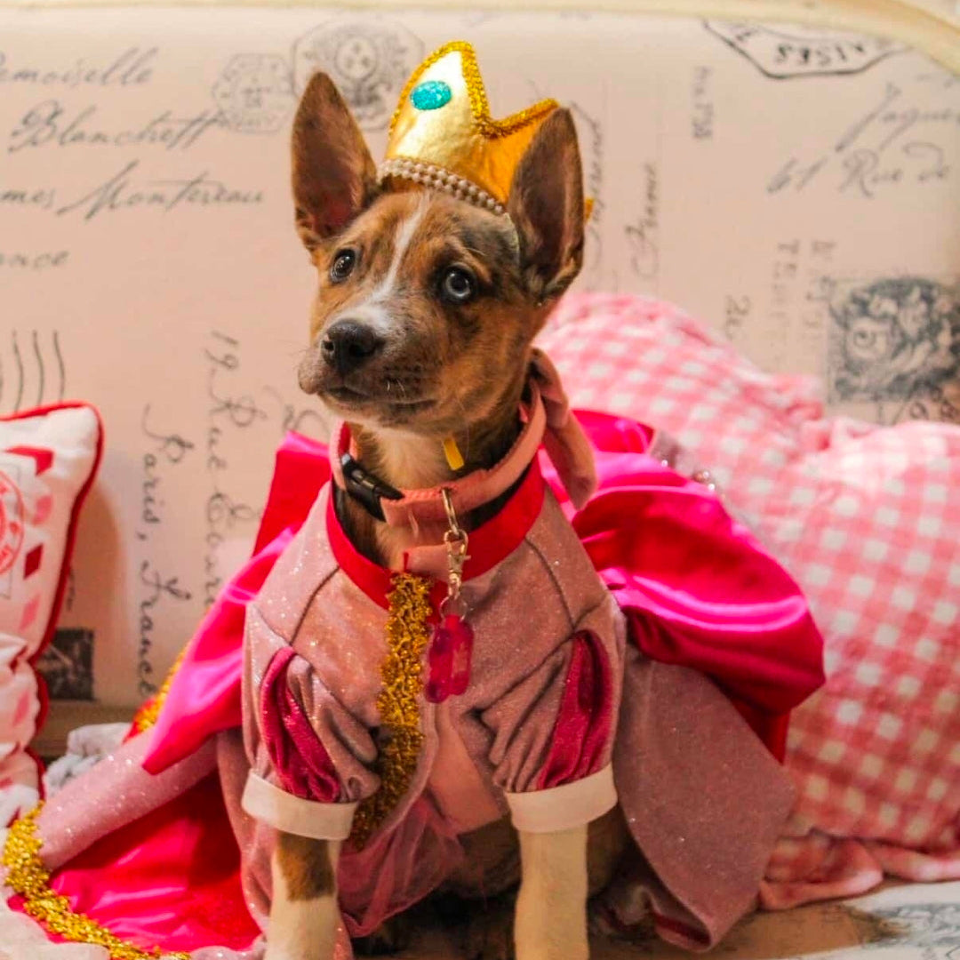 Princess Peach Pet Dress, Glitter Princess Peach pet costume