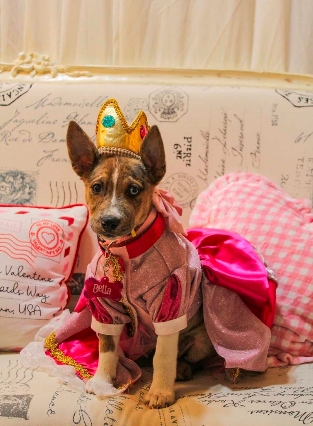 Princess Peach Pet Dress, Glitter Princess Peach pet costume