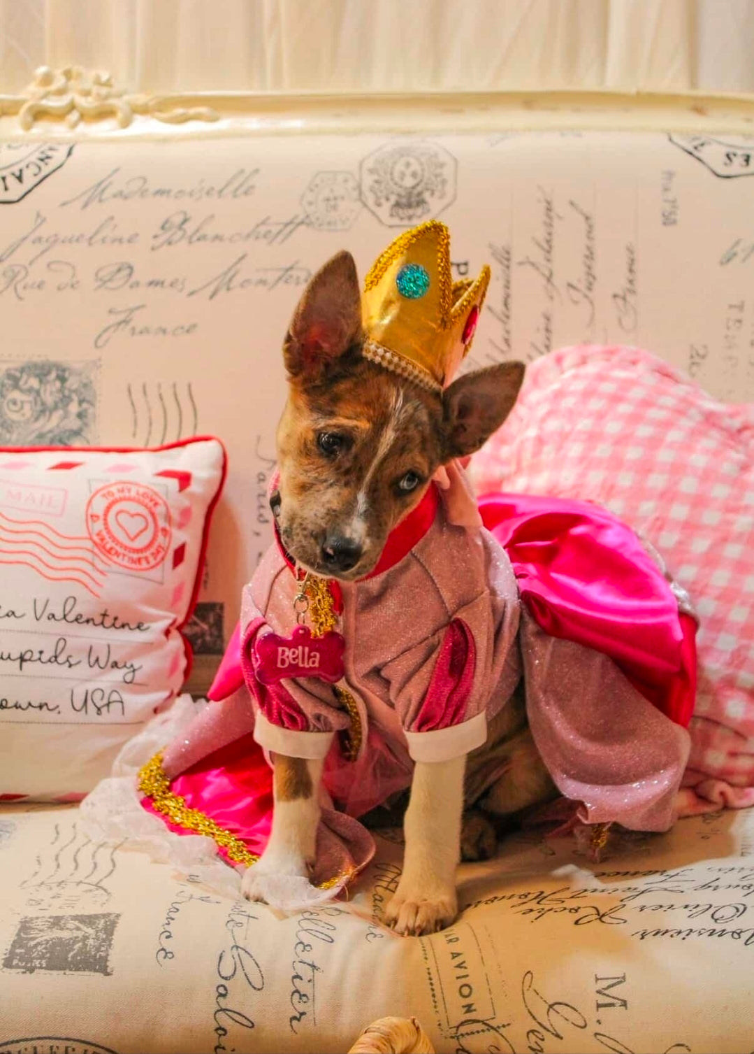 Princess Peach Pet Dress, Glitter Princess Peach pet costume