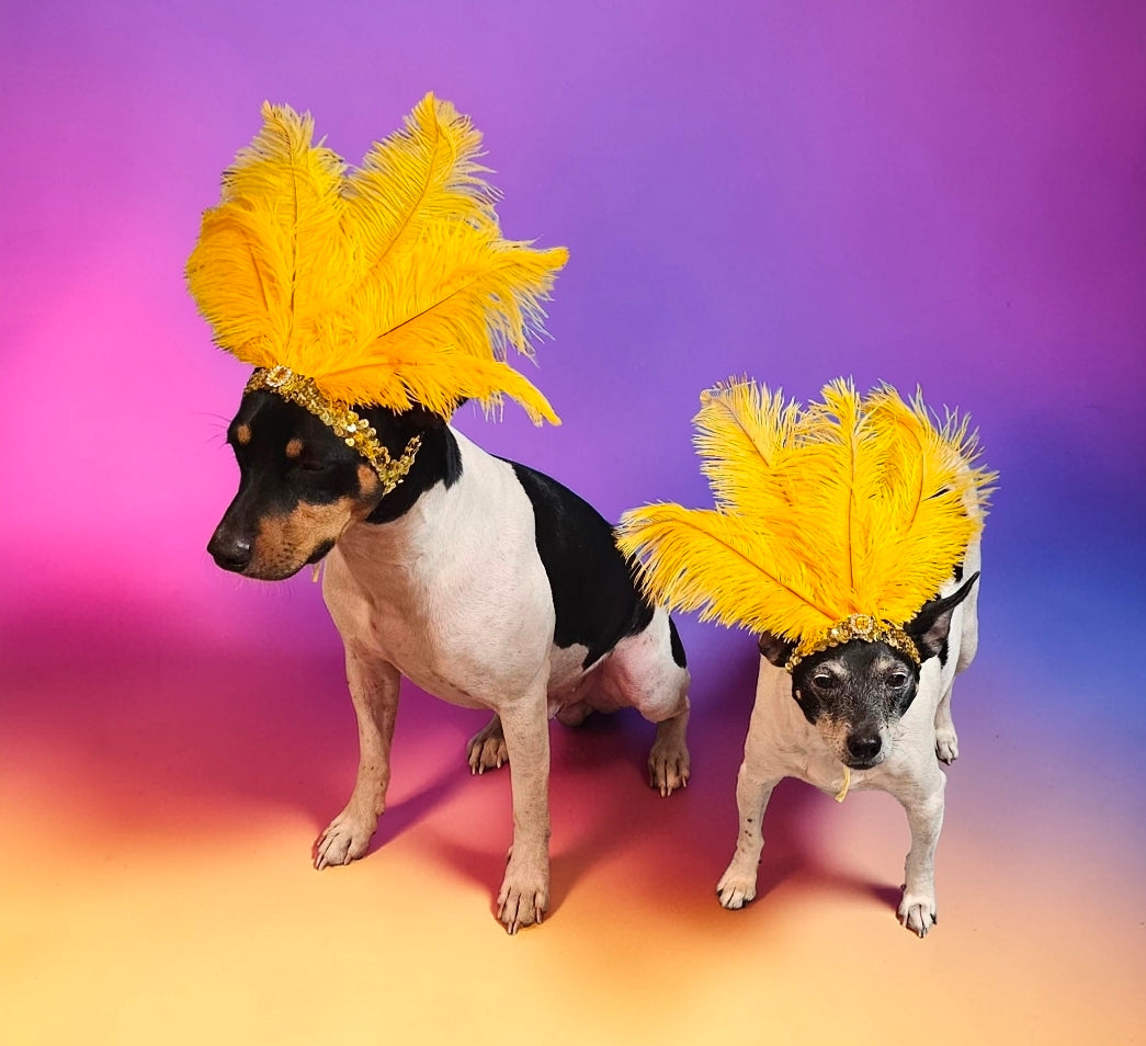 Flapper feather Pet head piece, flapper sequin feather pet head band, flapper pet costume