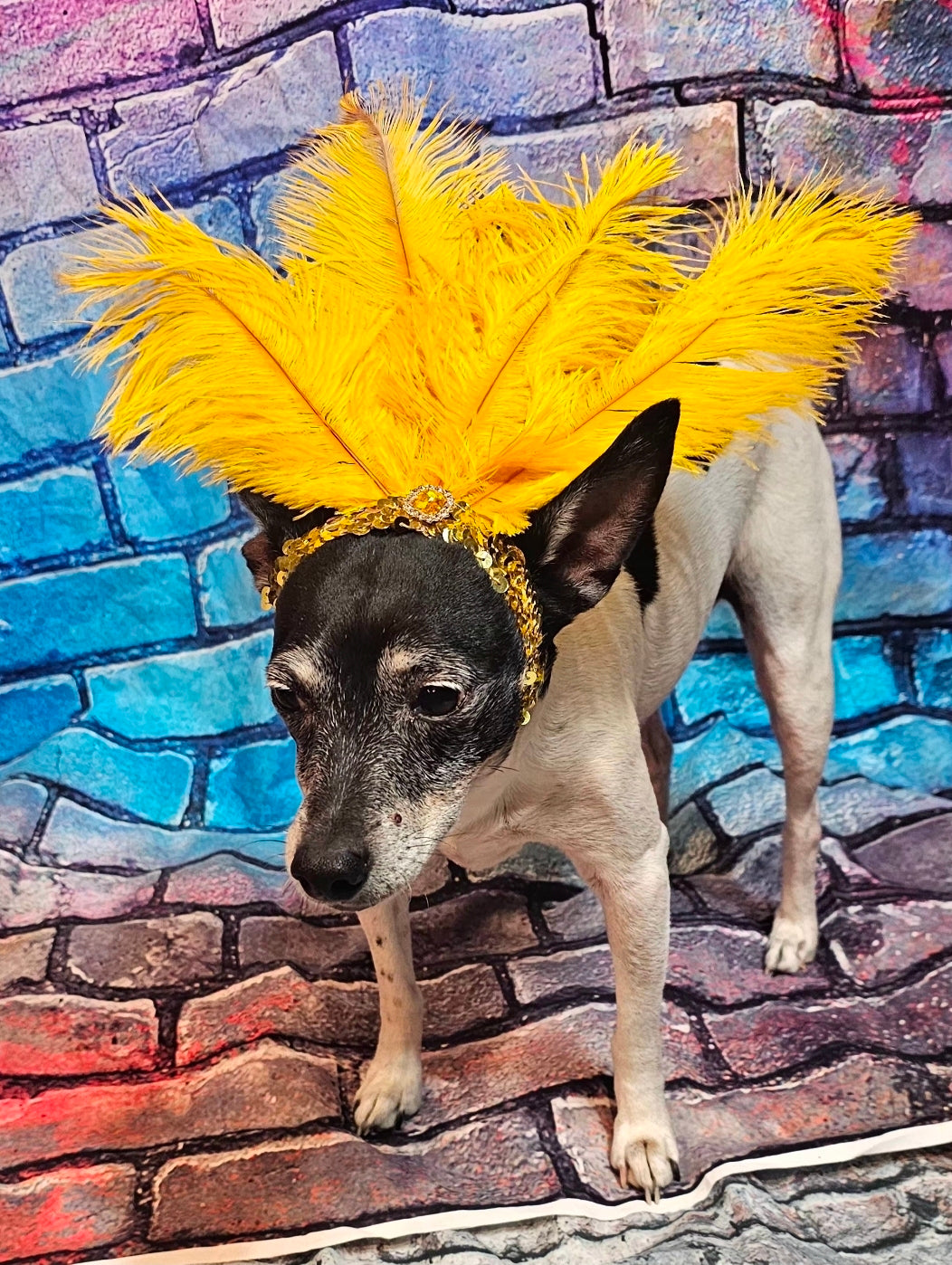 Flapper feather Pet head piece, flapper sequin feather pet head band, flapper pet costume