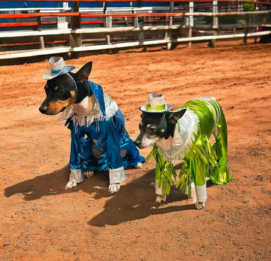 Metallic fringe country western pet body suit costume, fringe rhinestone pet costume, Rhinestone cowboy pet body suit