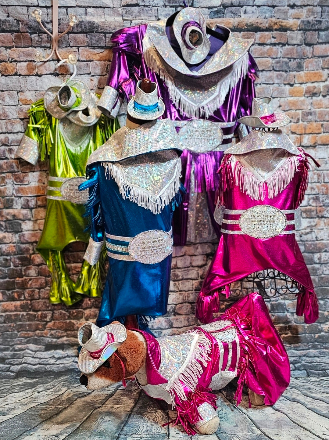 Metallic fringe country western pet body suit costume, fringe rhinestone pet costume, Rhinestone cowboy pet body suit
