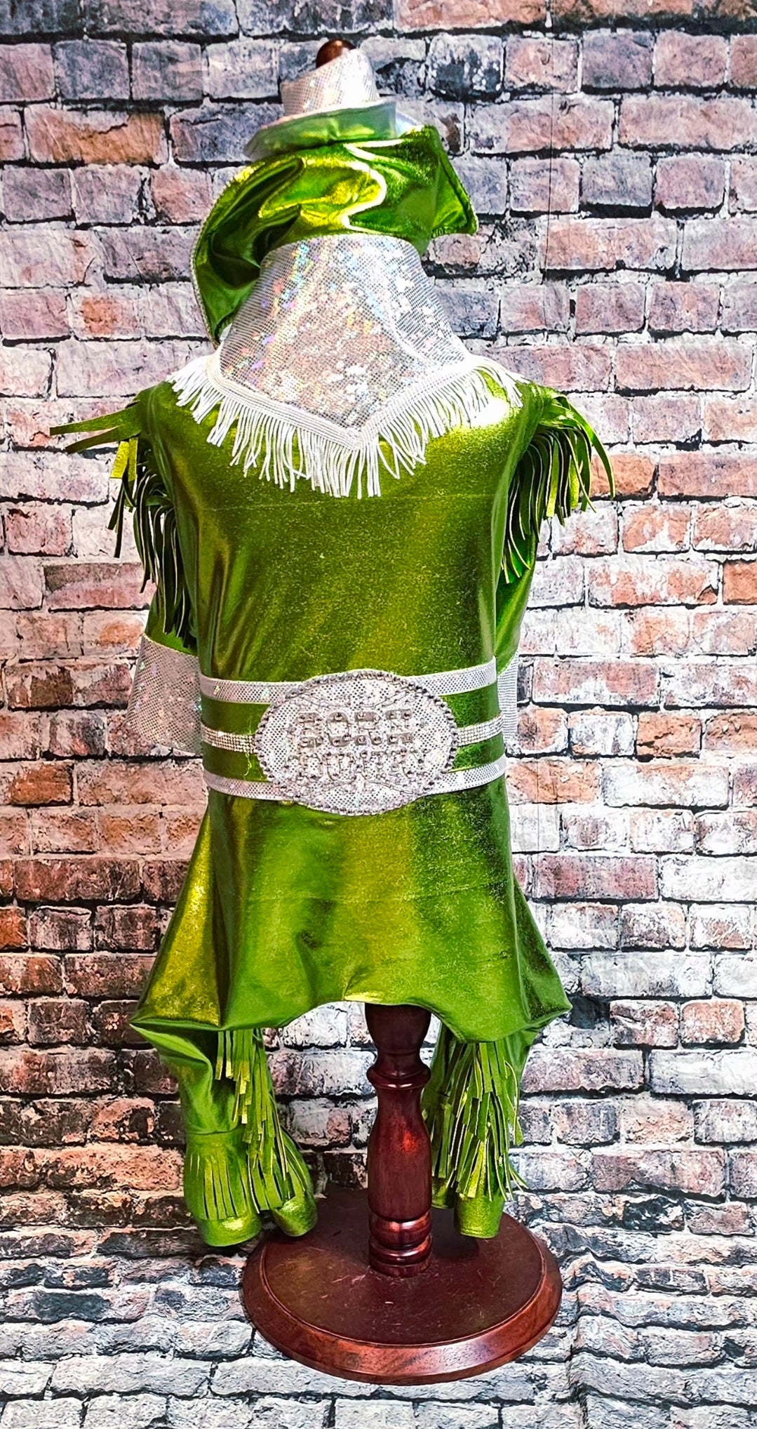 Metallic fringe country western pet body suit costume, fringe rhinestone pet costume, Rhinestone cowboy pet body suit