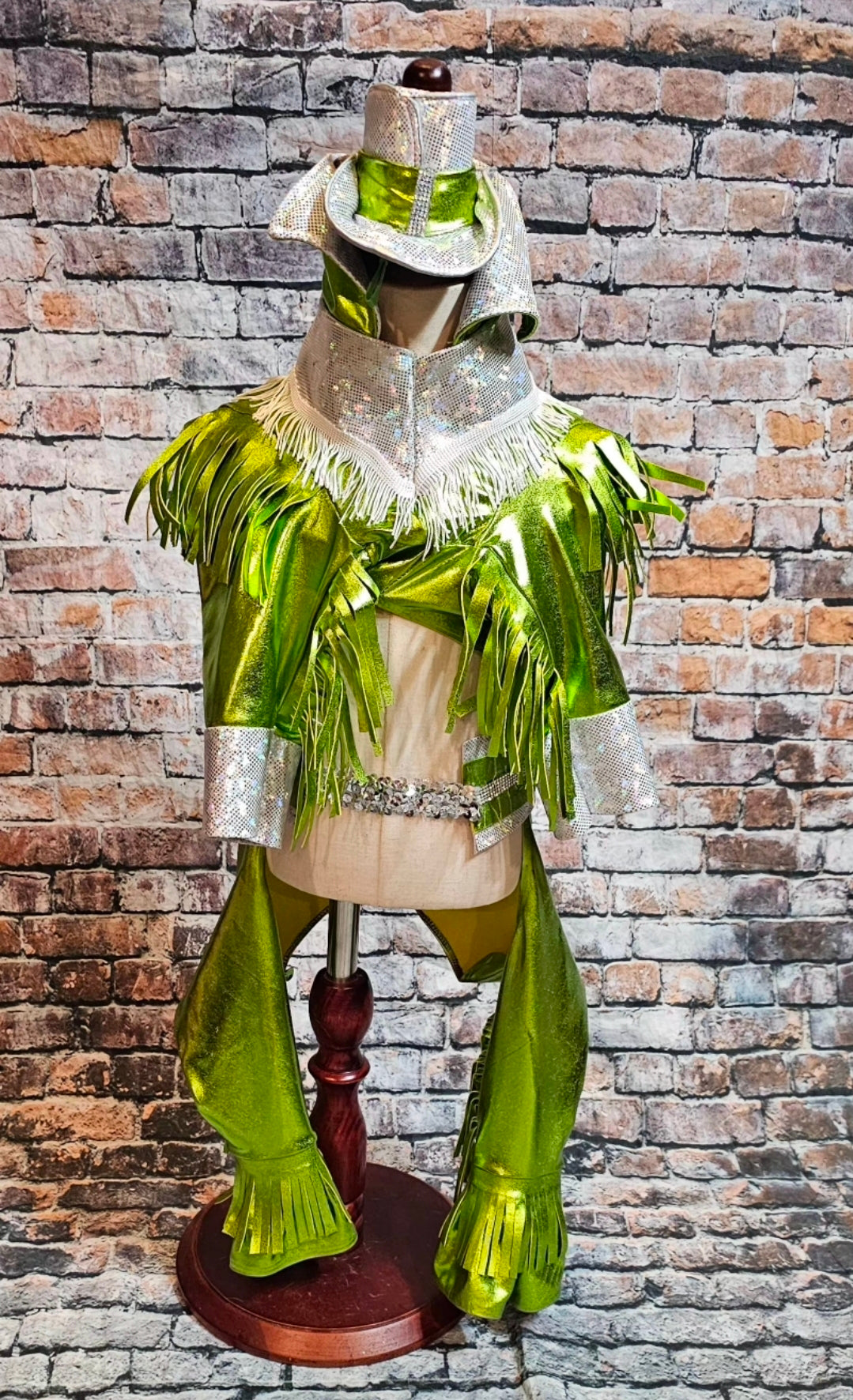 Metallic fringe country western pet body suit costume, fringe rhinestone pet costume, Rhinestone cowboy pet body suit